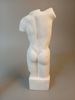 Torso. Man & kvinna.
