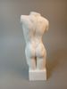 Torso. Man & kvinna.