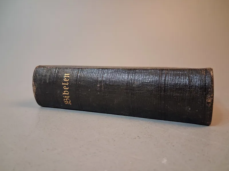 Bibeln eller den Helige skrift. 1877.