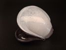 Skulptur. Glas. Ostron. Signerad, Germano Padoan. Gränna glasbruk.