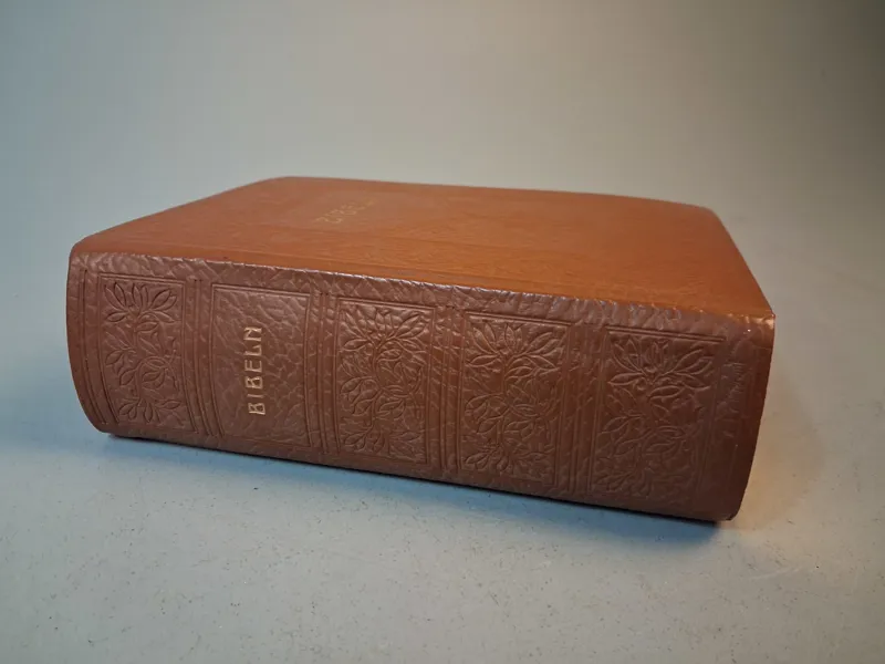 ILLUSTRERAD FAMILJE-BIBEL. 1963.