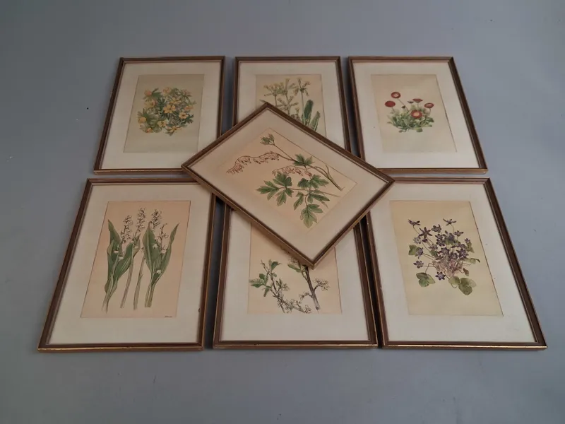 7 Tryck. Botaniska illustrationer.