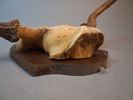 Älghorn. jakttrofé. Mellan horn.