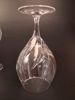 14 Rödvinsglas. Rosenthal Classic "Estelle".
