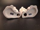 2 Hemvändar hundar, spishundar, Beswick England.