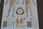 2 Affischer. Medicinskt öra Kina & Body Acupuncture.