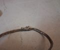 2 Halsband, ring & armband. silver, 18,4gram.