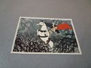 Hemmets journals nya samlar serie Törnrosa. 24 samlarbilder.