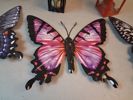 Diverse lyktor & fjärilar.