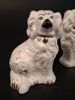 Hemvändar hundar, spishundar. 1 Par Beswick.