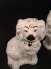Hemvändar hundar, spishundar. 1 Par Beswick.