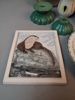 Diverse porslin & keramik.