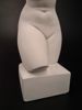 Torso, kvinnlig.