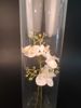 Cylinder vas, Hög vas. Glas.