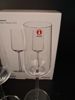 ALFREDO HÄBERLI. 4 Champagneglas. "Essence" 21cl, iittala.