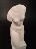 Torso, kvinnlig.