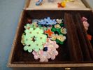 Diverse pins & majblommor.