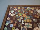 Diverse pins & majblommor.