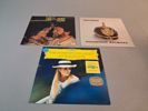 Diverse vinylskivor.