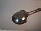 2 Skedar. Silver, 45gram.
