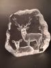 Diverse glasblock/skulpturer. Bl.a Mats Jonasson.
