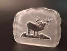 Diverse glasblock/skulpturer. Bl.a Mats Jonasson.