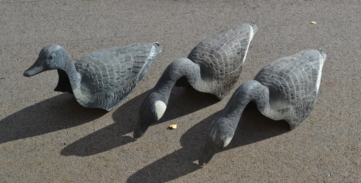 3 Plast-Gäss.