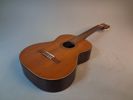 Gitarr, ARIA Congert Guitar.