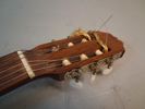 Gitarr, ARIA Congert Guitar.