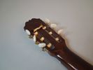 Gitarr, ARIA Congert Guitar.