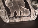 PAUL ISLING. 10 Glasblock/skulptur, Djurmotiv, WWF Svenskt glas.