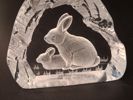PAUL ISLING. 10 Glasblock/skulptur, Djurmotiv, WWF Svenskt glas.