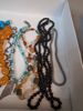Diverse halsband.