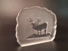 Diverse glasblock/skulpturer. Bl.a Mats Jonasson.