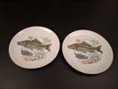 CS Sue Ceram Japan. 13 Assietter. fiskmotiv.
