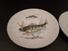 CS Sue Ceram Japan. 13 Assietter. fiskmotiv.