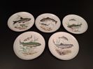 5 Assietter. fisk motiv. porslin. Carl Petri.