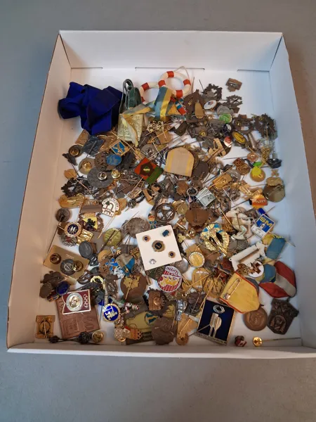Diverse pins & nålar m.m.