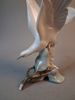 Figurin. Duva. Lladro.